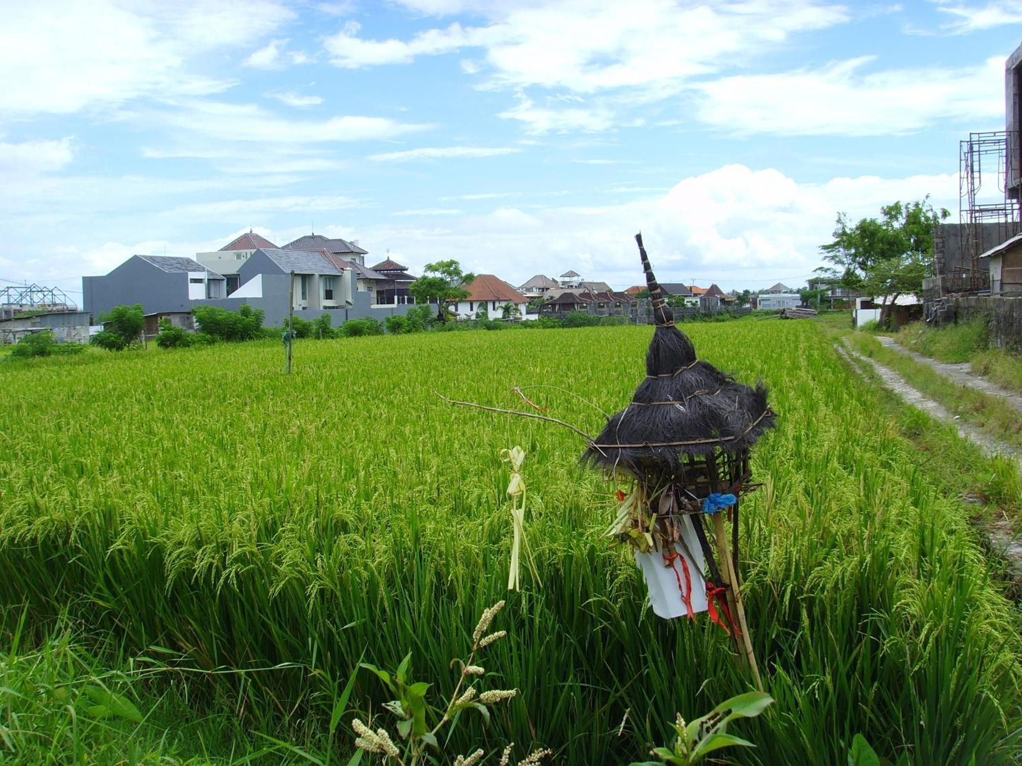 Jonsen Homestay Canggu Esterno foto